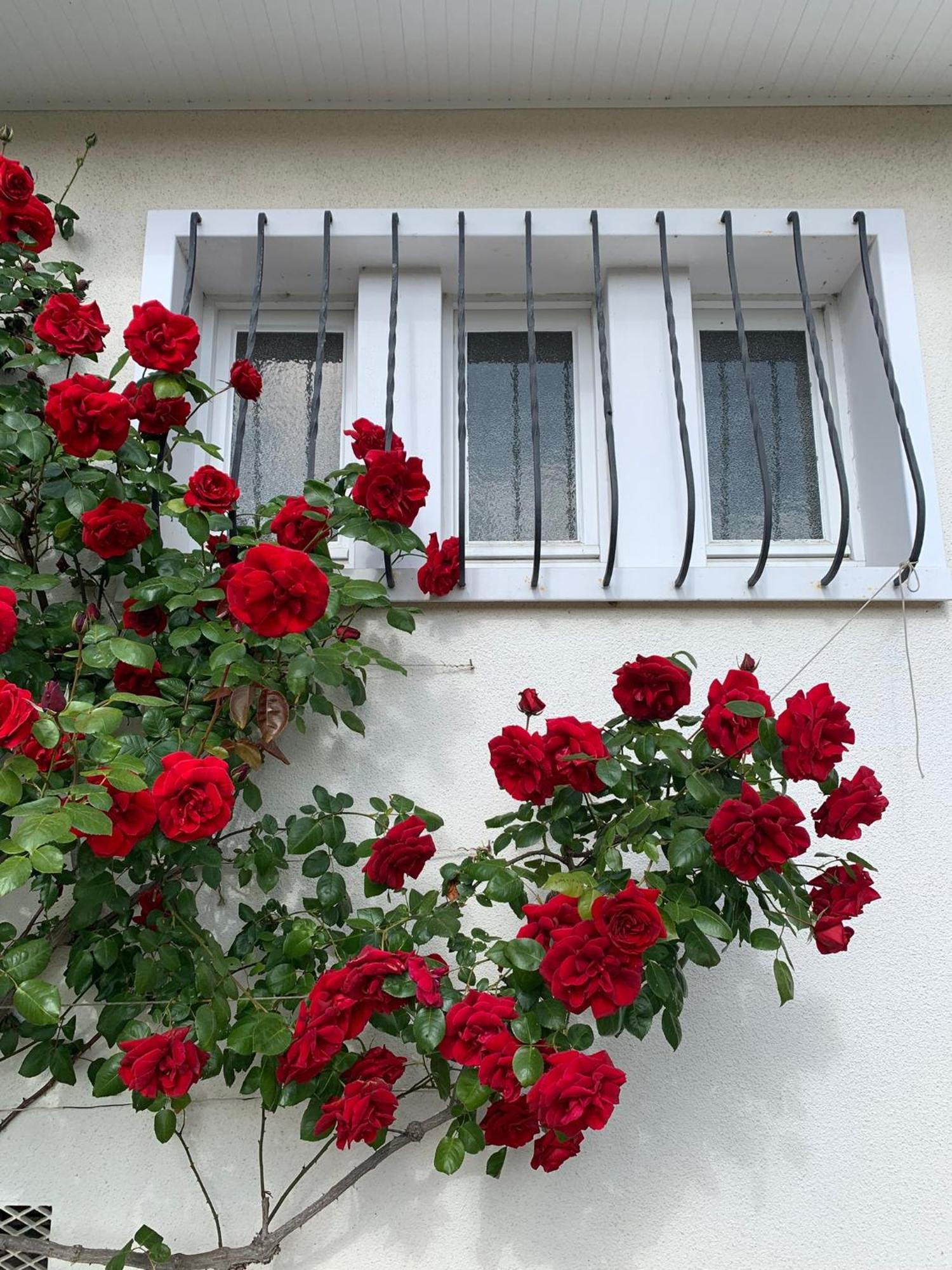 Les Cormiers Villa Chailles  Ngoại thất bức ảnh